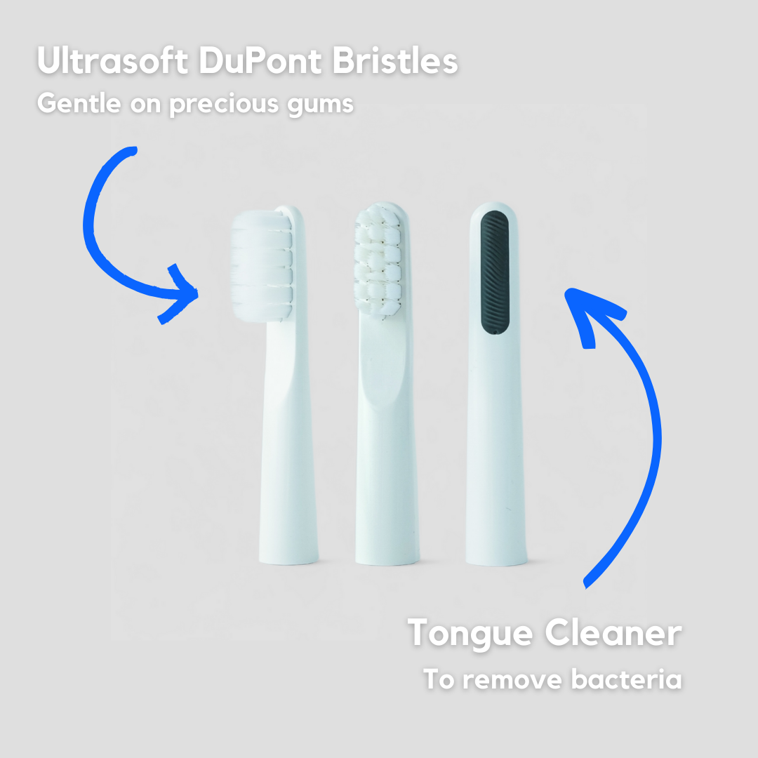 Mölah Pulse Toothbrush Set